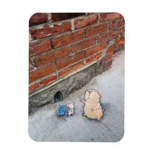 Twijfelen aan de voorspelde magneet