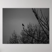 Twilight Bird Poster (Voorkant)