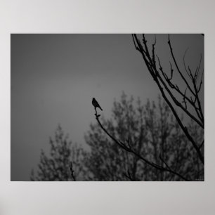 Twilight Bird Poster