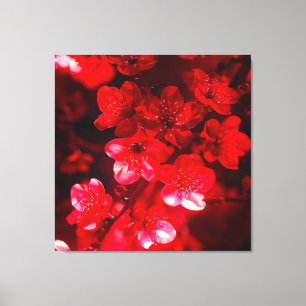 Twilight Cherry Blossom Glow Canvas Afdruk