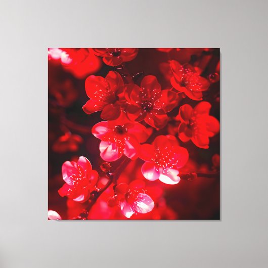 Twilight Cherry Blossom Glow Canvas Afdruk (Voorkant)