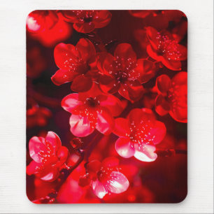 Twilight Cherry Blossom Glow Muismat