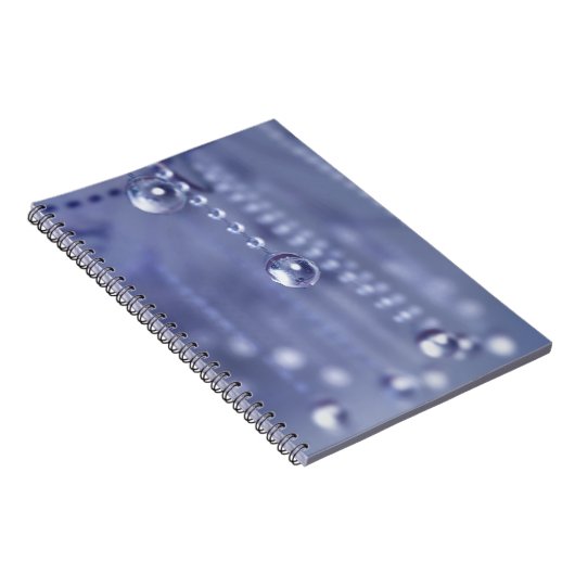 Twilight dans le Carnet de cristal (Côté Droit)