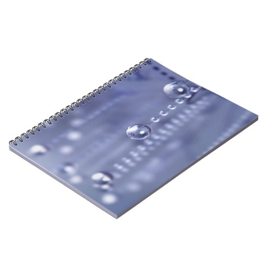 Twilight dans le Carnet de cristal (Côté gauche)