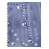 Twilight dans le Carnet de cristal (Devant)