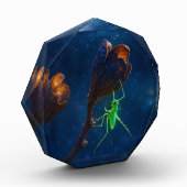 Twilight Dream Photo Block Fotoblokken (Links)