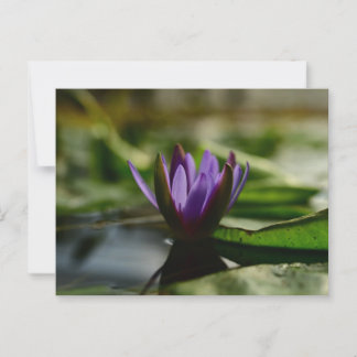 Twilight Lotus Serenity Briefkaart