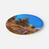 Twilight op Park Central Square Papieren Bordje (Gekanteld)