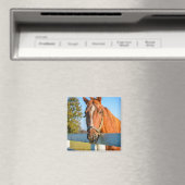 Twilight-Roos | Thoroughbred Race Horse Magneet (Insitu (Vaatwasser))