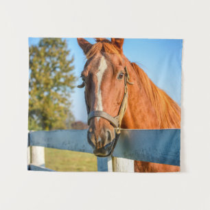 Twilight-Roos   Thoroughbred Race Horse Wandkleed