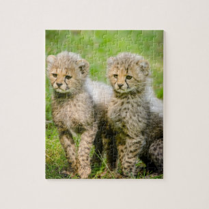 Twin Baby Cheetahs Legpuzzel