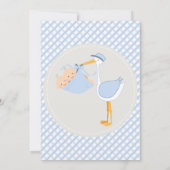 Twin Boys Country Charm Baby shower Invitation (Dos)