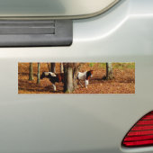 Twin Brown and White Horses Bumpersticker (Op auto)