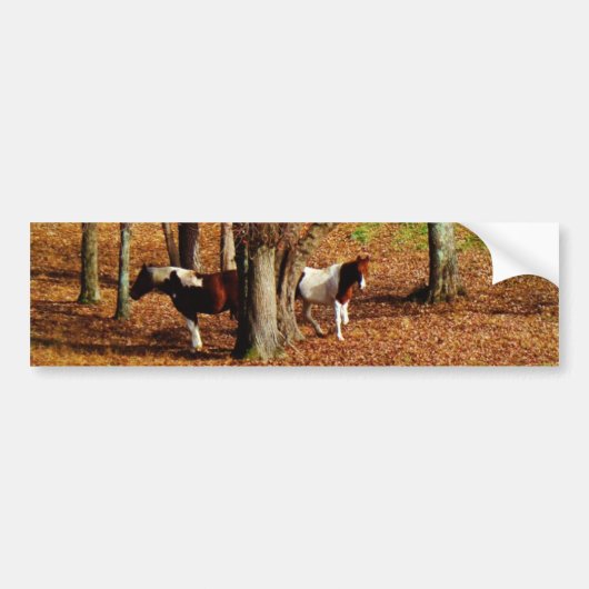 Twin Brown and White Horses Bumpersticker (Voorkant)