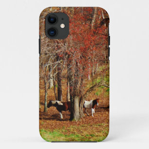 Twin Brown and White Horses iPhone 11 Hoesje
