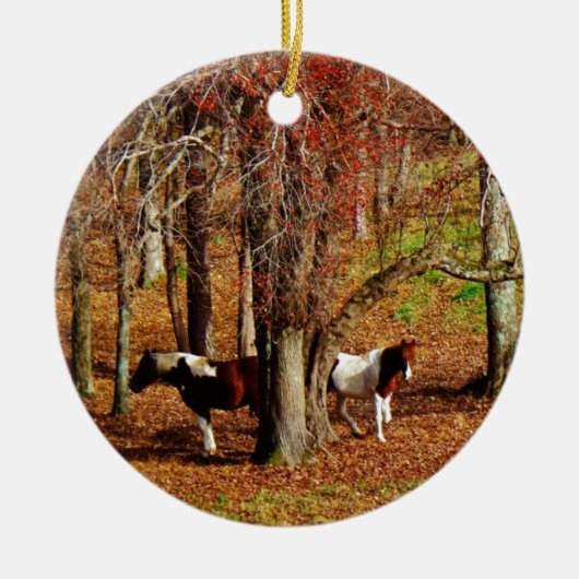 Twin Brown and White Horses Keramisch Ornament (Voorkant)