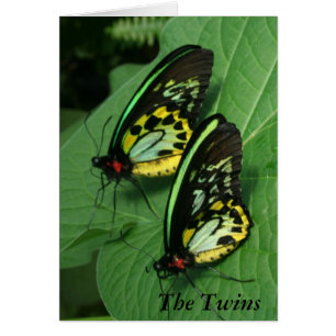 Twin Butterflies-kaart