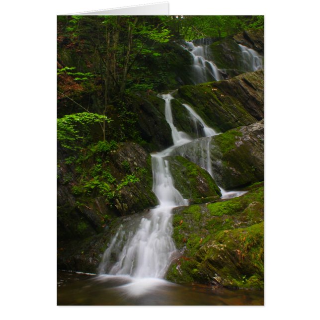 Twin Cascade Berkshires Waterfall (Voorkant)