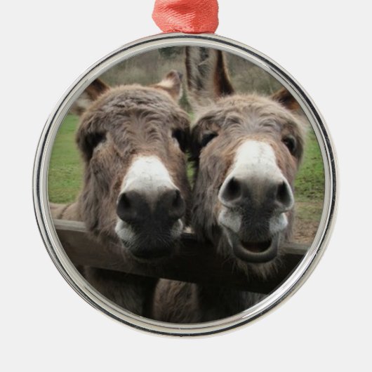 TWIN DONKEY PAIR ORNAMENT (Voorkant)