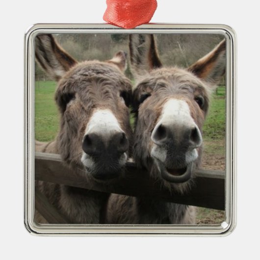****TWIN DONKEY PAIR *** ORNAMENT (Voorkant)