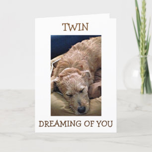 TWIN=JE VERJAARDAG MIJN GEDACHTEN GAAN ALLEMAAL OV KAART