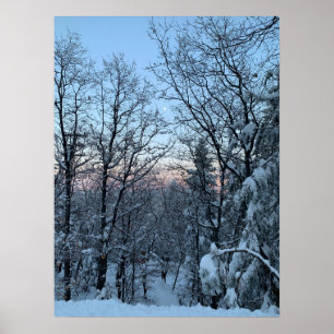 Twin Peaks Snowy Moon Poster