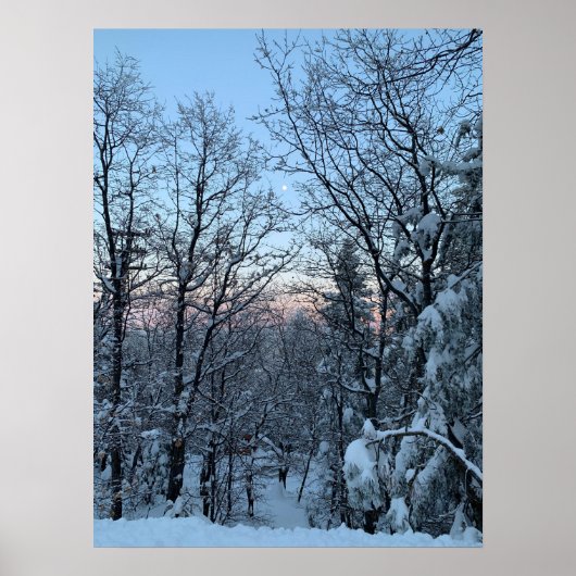 Twin Peaks Snowy Moon Poster (Voorkant)