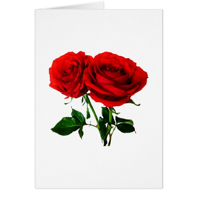 Twin Red Roses (Voorkant)