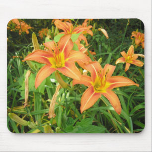 Twin Tiger Lilies Muismat