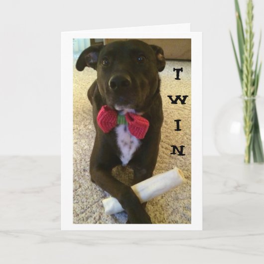 TWIN WIL ZEGGEN DAT ZICHZELF VERDAG EN GEWELD! KAART (Voorkant)