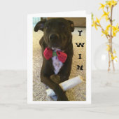 TWIN WIL ZEGGEN DAT ZICHZELF VERDAG EN GEWELD! KAART (Gele Bloem)