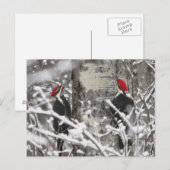 Twin Woodpeckers - Briefkaart (Voorkant / Achterkant)