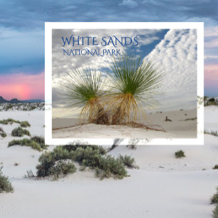 Twin Yuccas, White Sands National Park Briefkaart