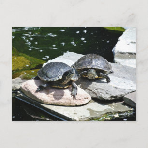 Twindenergie - briefkaart