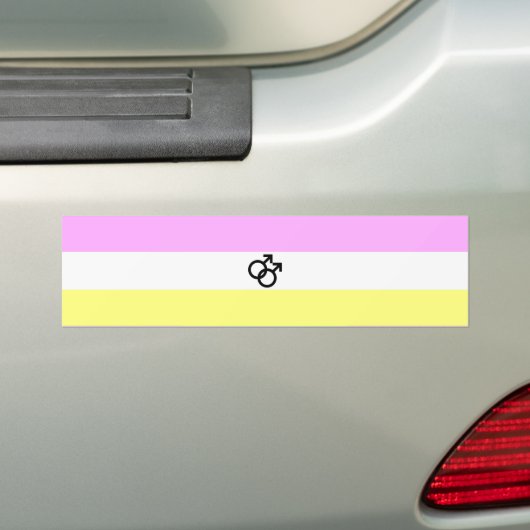 Twink Pride Flag Bumpersticker (Op auto)