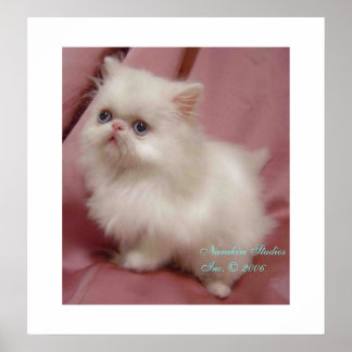 TWINKLE KLEINE STAR POSTER