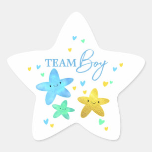 Twinkle Little Star Gender onthaal Team Boy Ster Sticker