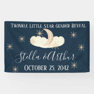 Twinkle Little Star Party - Celestial Geslacht Spandoek