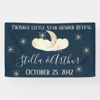 Twinkle Little Star Party - Celestial Geslacht Spandoek