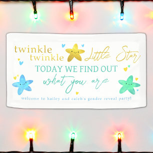 Twinkle Twinkle Little Star Gender onthult Banner