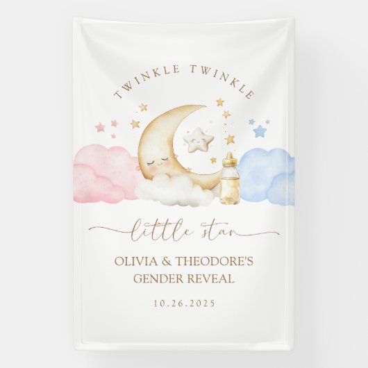 Twinkle Twinkle Little Star Geslacht Reveal Welkom Spandoek (Verticaal)