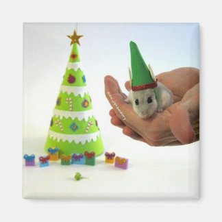 Twinkletoes de Elf! Magneet