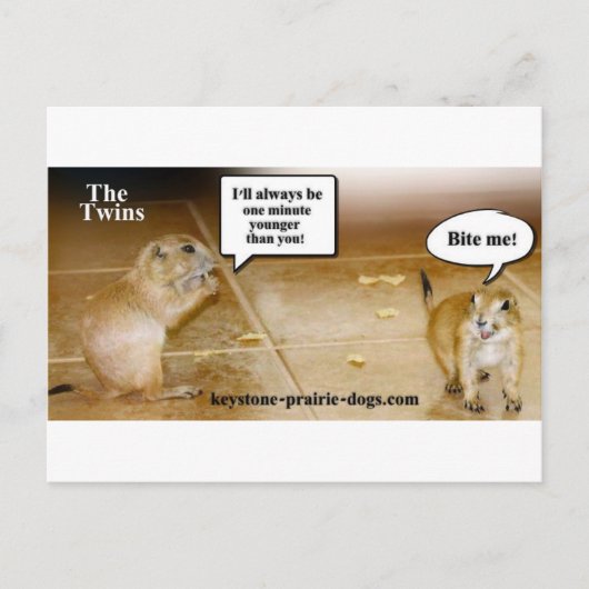 Twins Briefkaart (Voorkant)