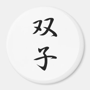 Twins Kanji Magneet