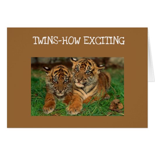 ****TWINS*** - LA CARTE "NOUVEAUX PARENTS" EXCITAN (Devant horizontal)