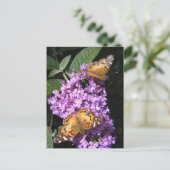 Twins papillon ~ carte postale (Debout devant)