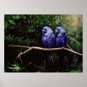 Twins Poster