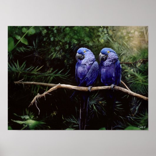 Twins Poster (Voorkant)