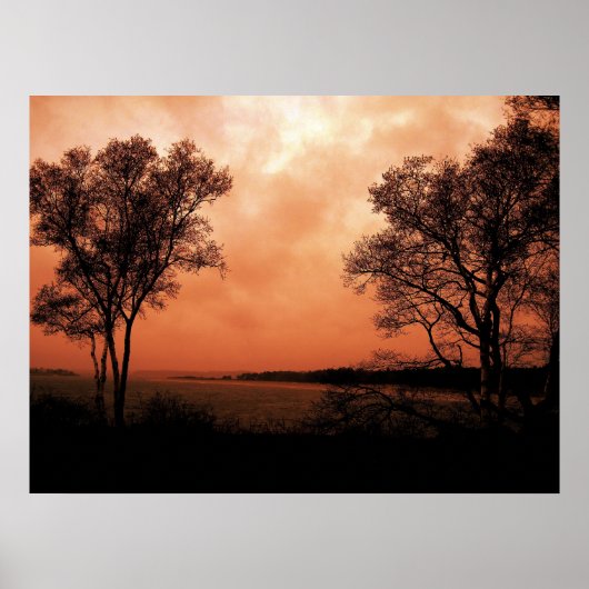 Twins Poster (Voorkant)