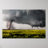 Twins Poster (Voorkant)